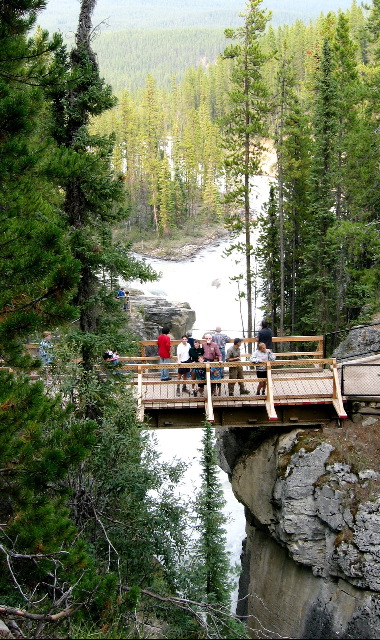 Ben, Mia, Aron, Arthur, Natan, Sunwapta Falls, Canada