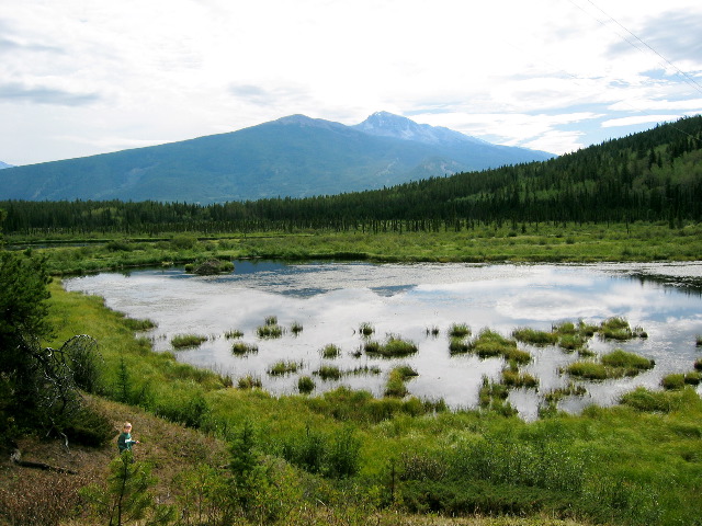 near Patricia Lake, Jasper