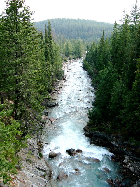 near Jasper, Canada