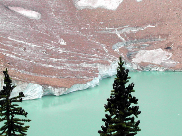 Edith Cavell Mtn glacier