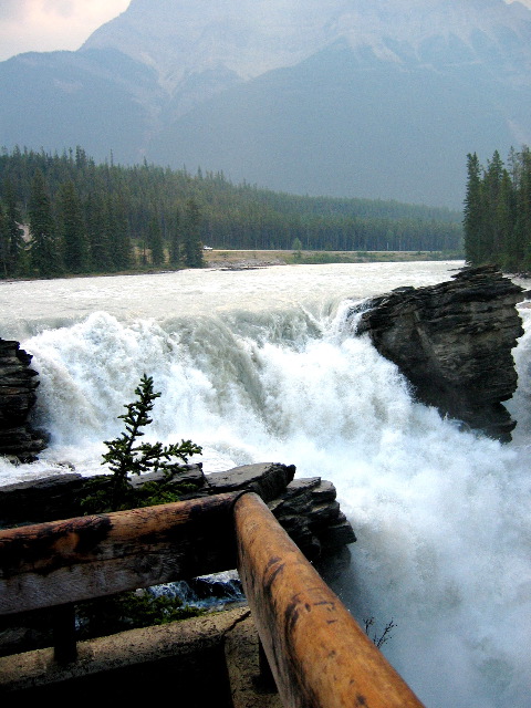 Sunwapta Falls, Jasper