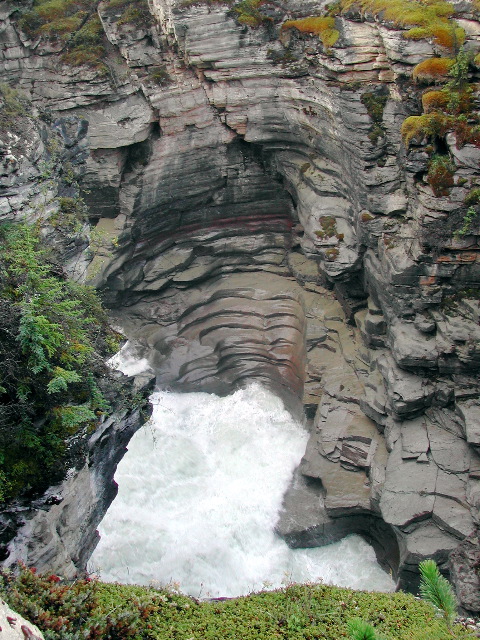 Sunwapta Falls, Jasper