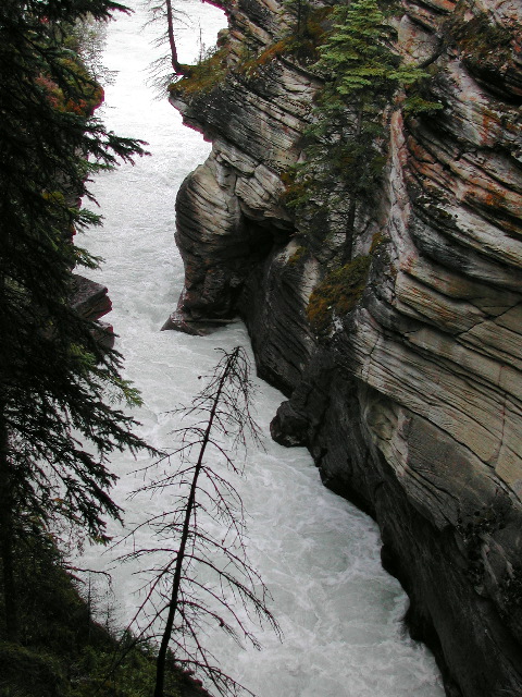 Sunwapta Falls, Jasper