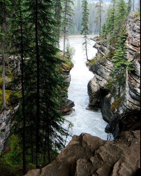 Sunwapta Falls, Jasper