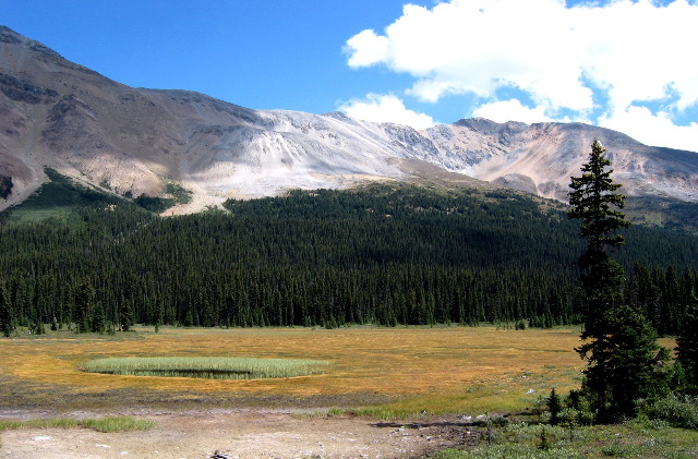 on road to Banff, Canada