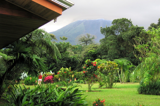 Volcano Lodge garden 2