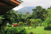 Volcano Lodge garden 2