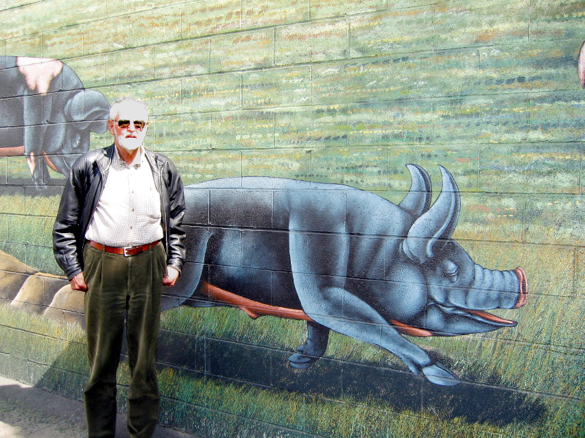 Arthur Luehrmann and hog, Farmer John meat packers, LA