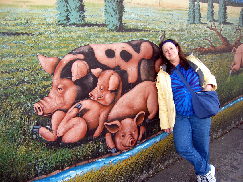 A bunch of pigs and piglets rest, Farmer John meat packers, LA