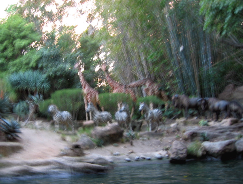 Jungle Cruise, Disneyland