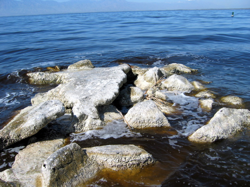 Salton Sea