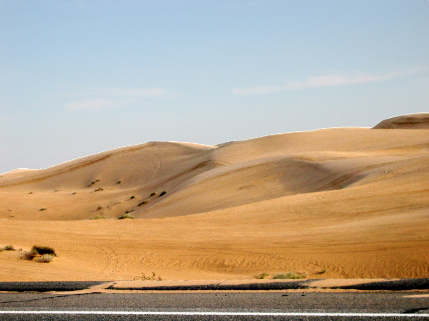 Algodones Dunes