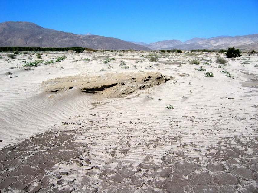 wash, Anza-Borrego Desert