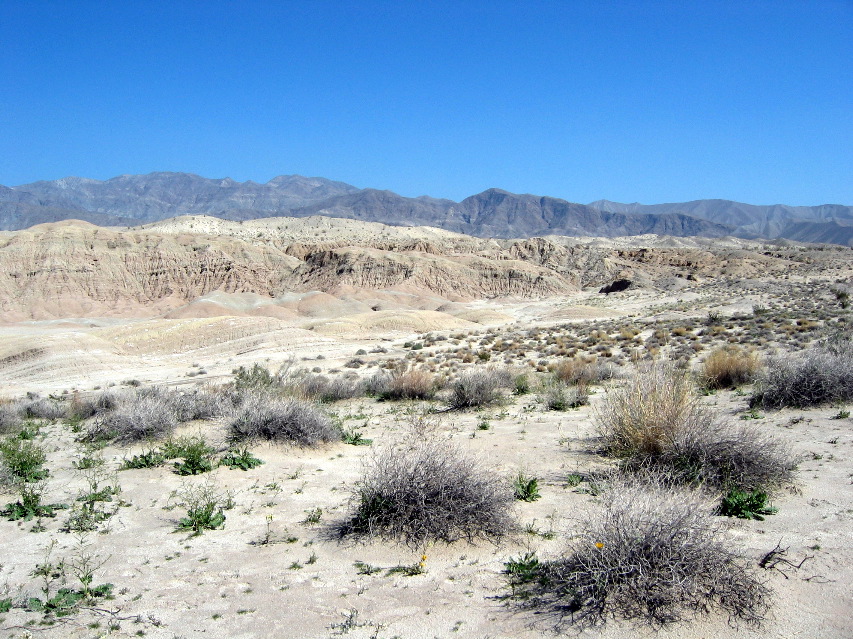 Anza-Borrego Desert