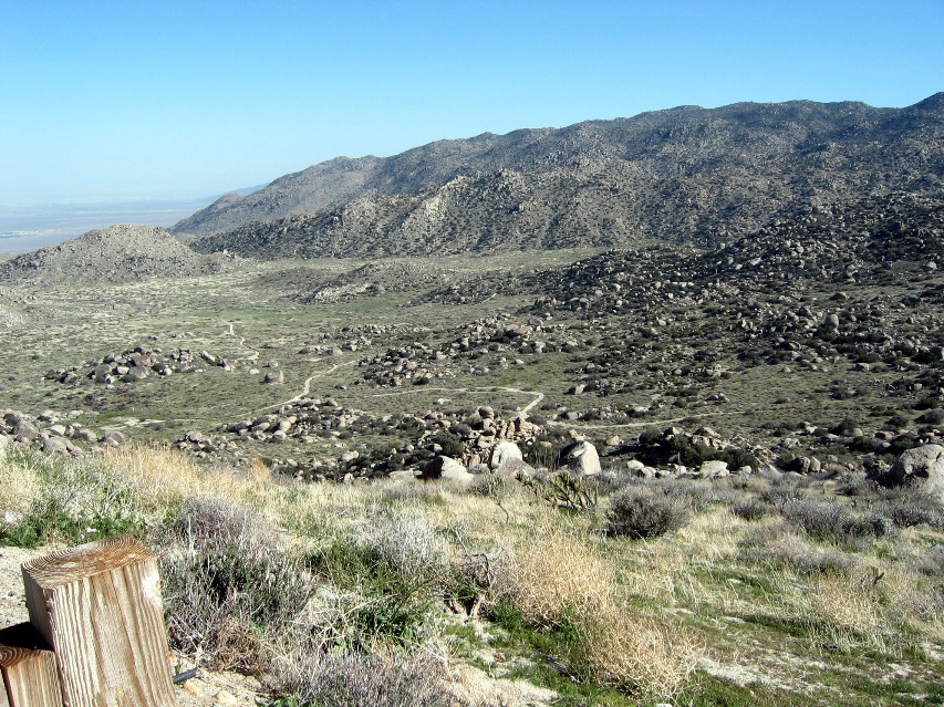 Culp Valley, Anza-Borrego Desert