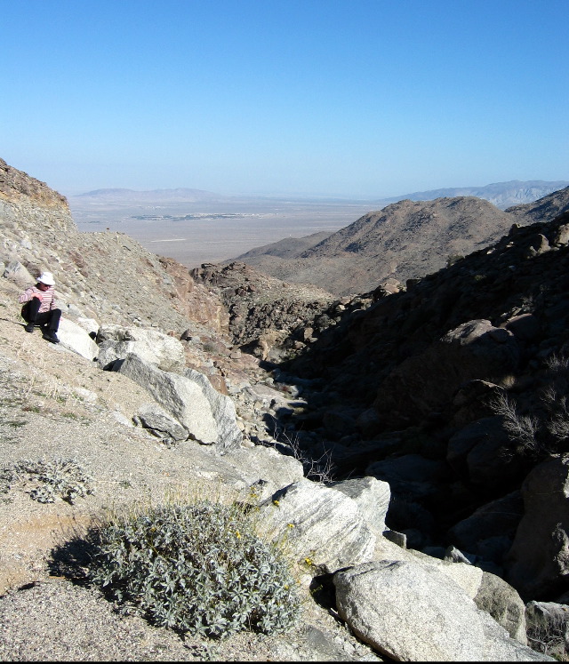 Kerstin, Culp Valley overlook, Anza-Borrego Desert