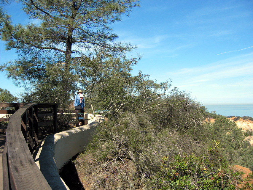 Torrey Pines Park