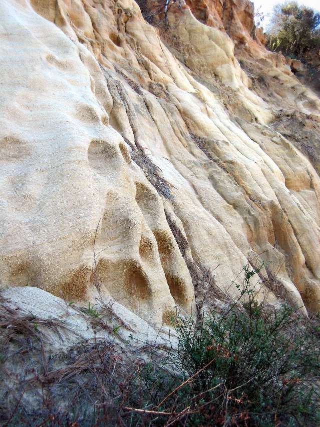 weathered hillside, Torrey Pines Park