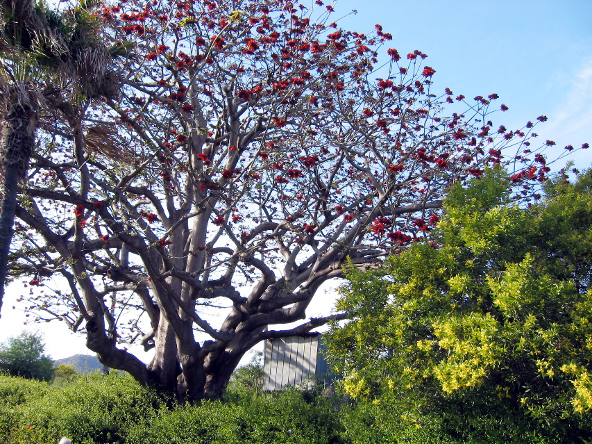 Adamson House, Malibu