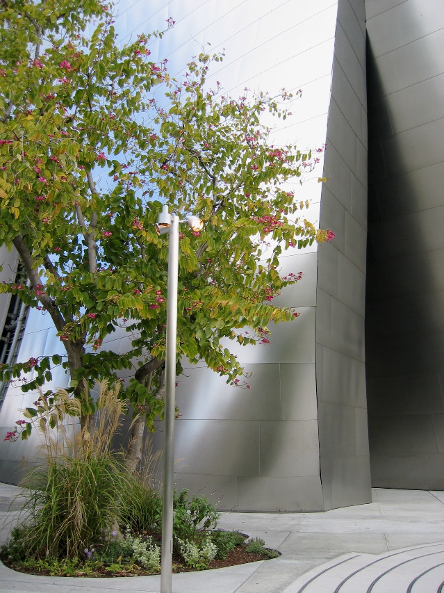 Disney Concert Hall