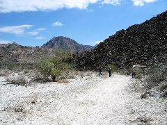 Living Desert Zoo and Plant Ctr, Palm Desert