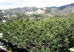 one of views from Getty Center